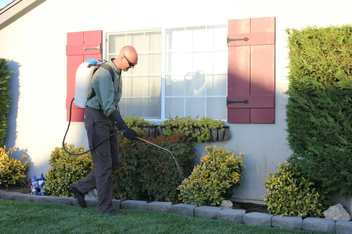 Bed Bug Treatment Melbourne